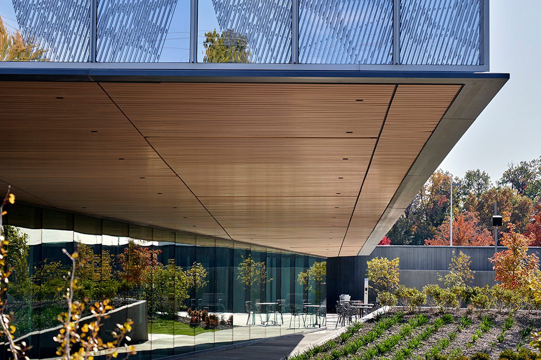 Image of a detail of the Engagement Center that shows glazing opening to a covered outdoor patio surrounded by greenery. Looking upwards, beautiful wood under the upper level and the fritted glass pattern can be seen.