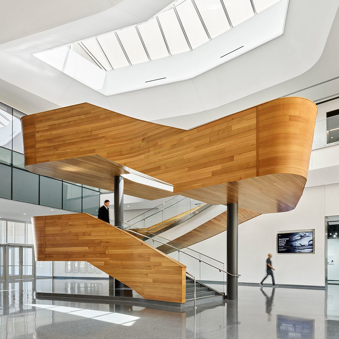 Image of the main lobby with monumental Benton Stair and glimpse of art gallery.