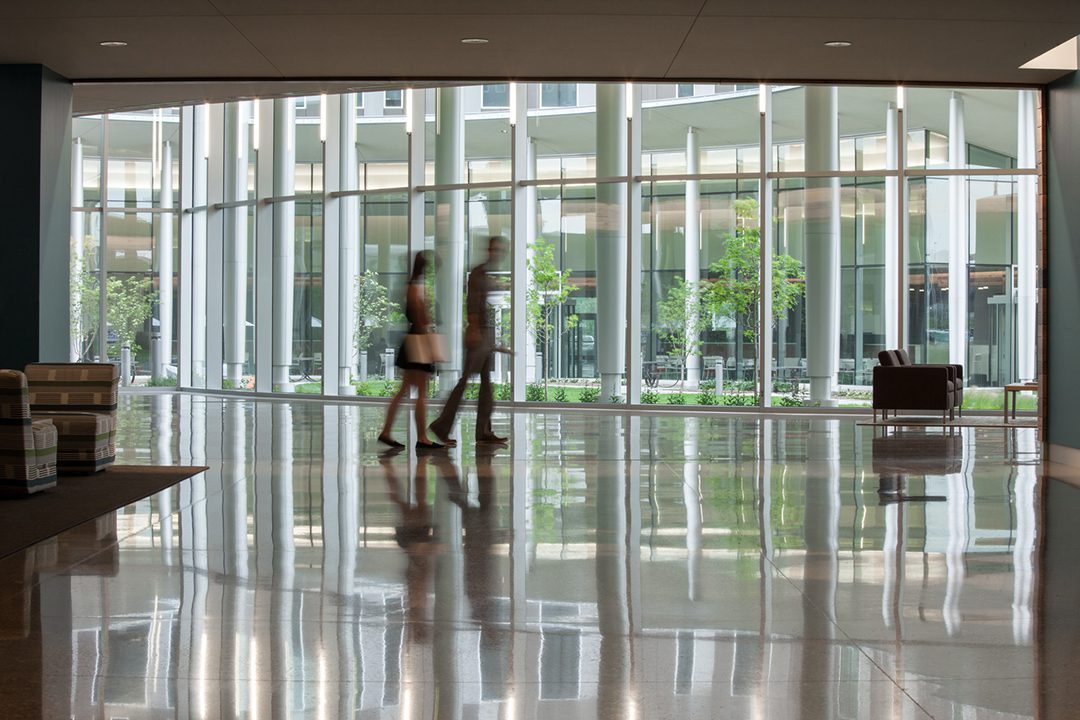 Image from the Continuous Campus lobby looking through floor-to-ceiling glazing towards the courtyard.